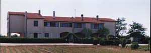 Fattoria1