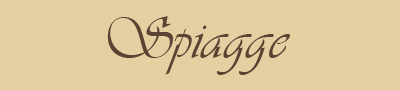 spiagge